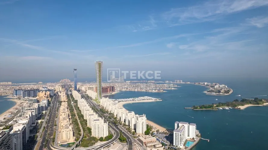 Apartamento de 4 dormitorios en Palm Jumeirah, UAE No. 1249 № 17