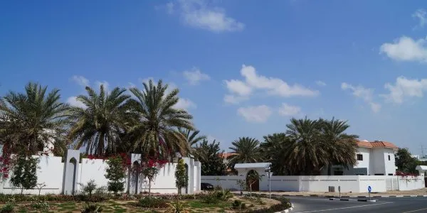 Al Safa № 8