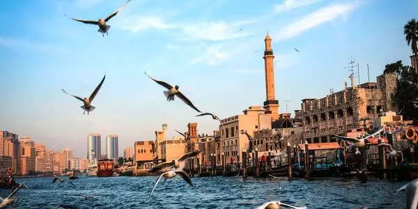 Bur Dubai № 3